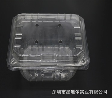 水果吸塑包装产品